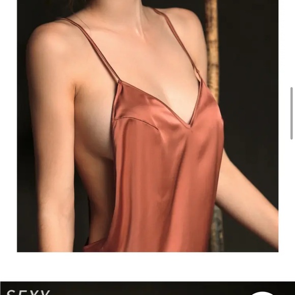 Rusty Red Satin Revealing Nightgown Lingerie Dress - Picture 8 of 12